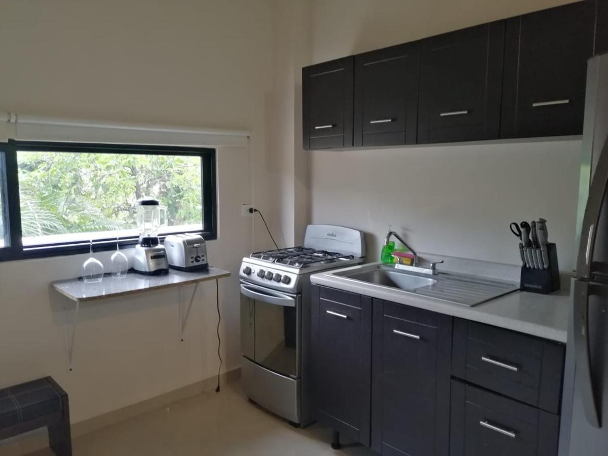 Calle 22 By 770 Apartments Πλάγια Ντελ Κάρμεν Εξωτερικό φωτογραφία